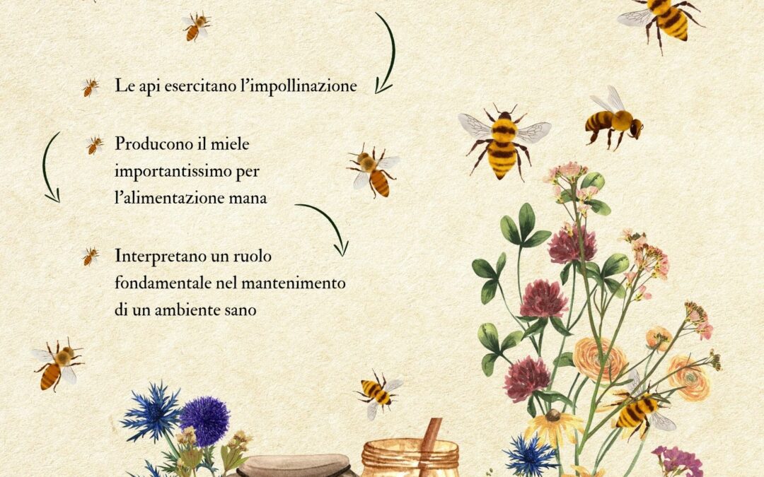 Italia Nostra Campobasso: salviamo le api