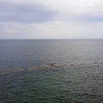 10_Il mare di Ortigia