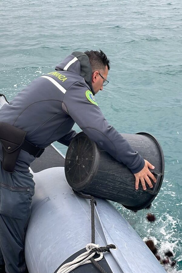 GDF Roan Bari: pesca illegale. Sequestrati 150 kg. di ricci di mare