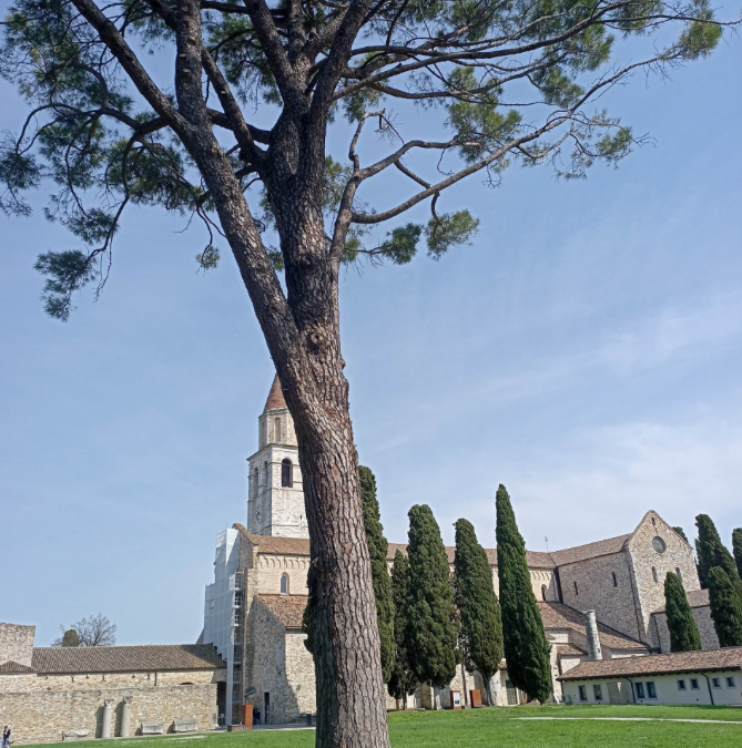 Aquileia: no al progetto del fotovoltaico vicino all’area Unesco