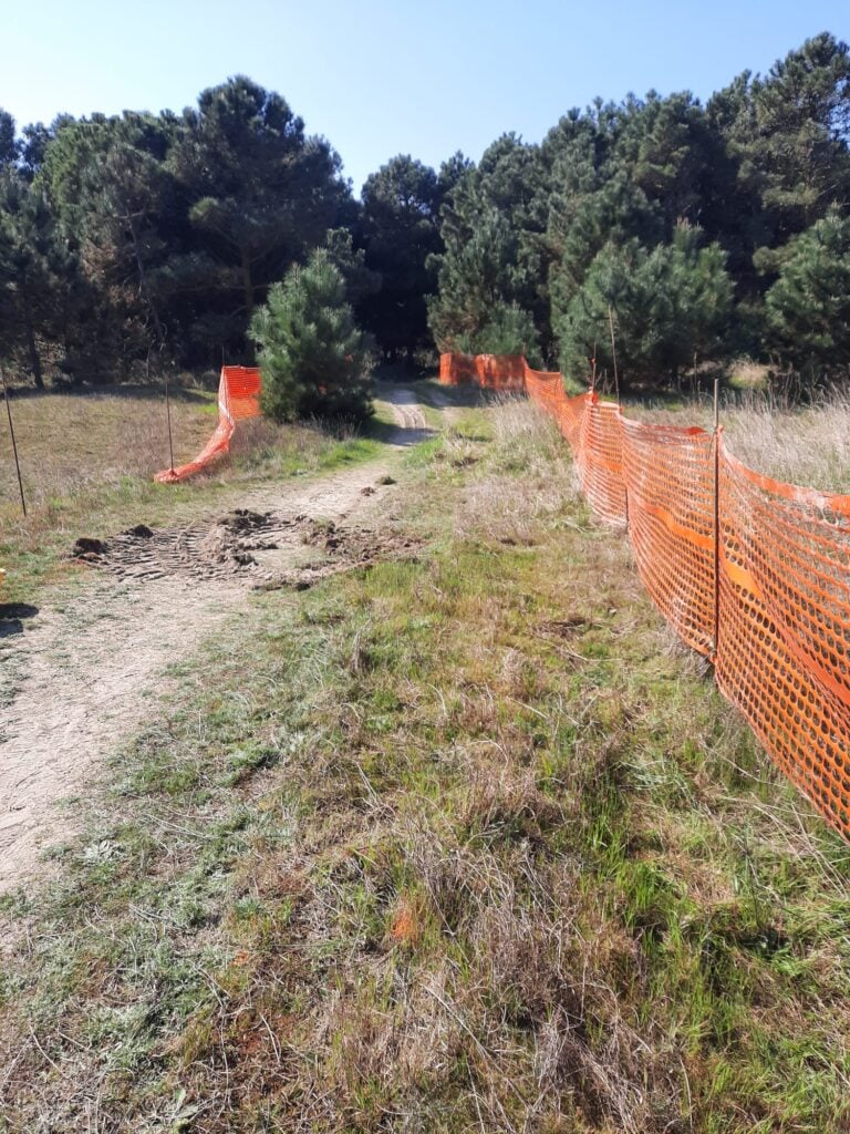 Lavori su due Riserve Naturali in violazione del progetto approvato: Italia Nostra e Animali Liberation depositano denuncia