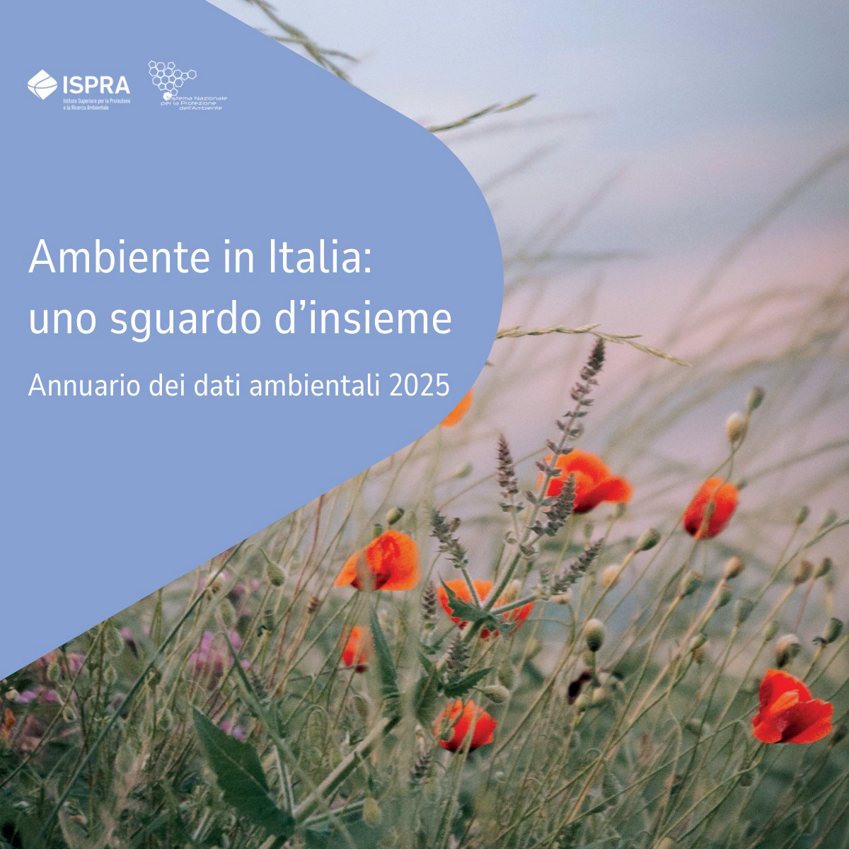 lo stato dell'ambiente in Italia