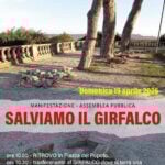 salviamo girfalco