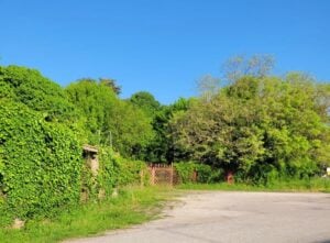 zuccherificio lendinara