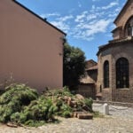 pini a san vitale
