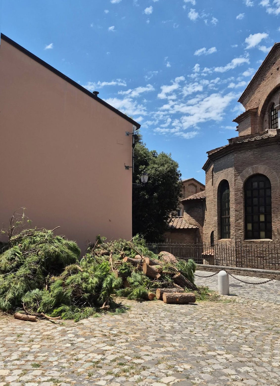 pini a san vitale