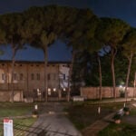pini galla placidia