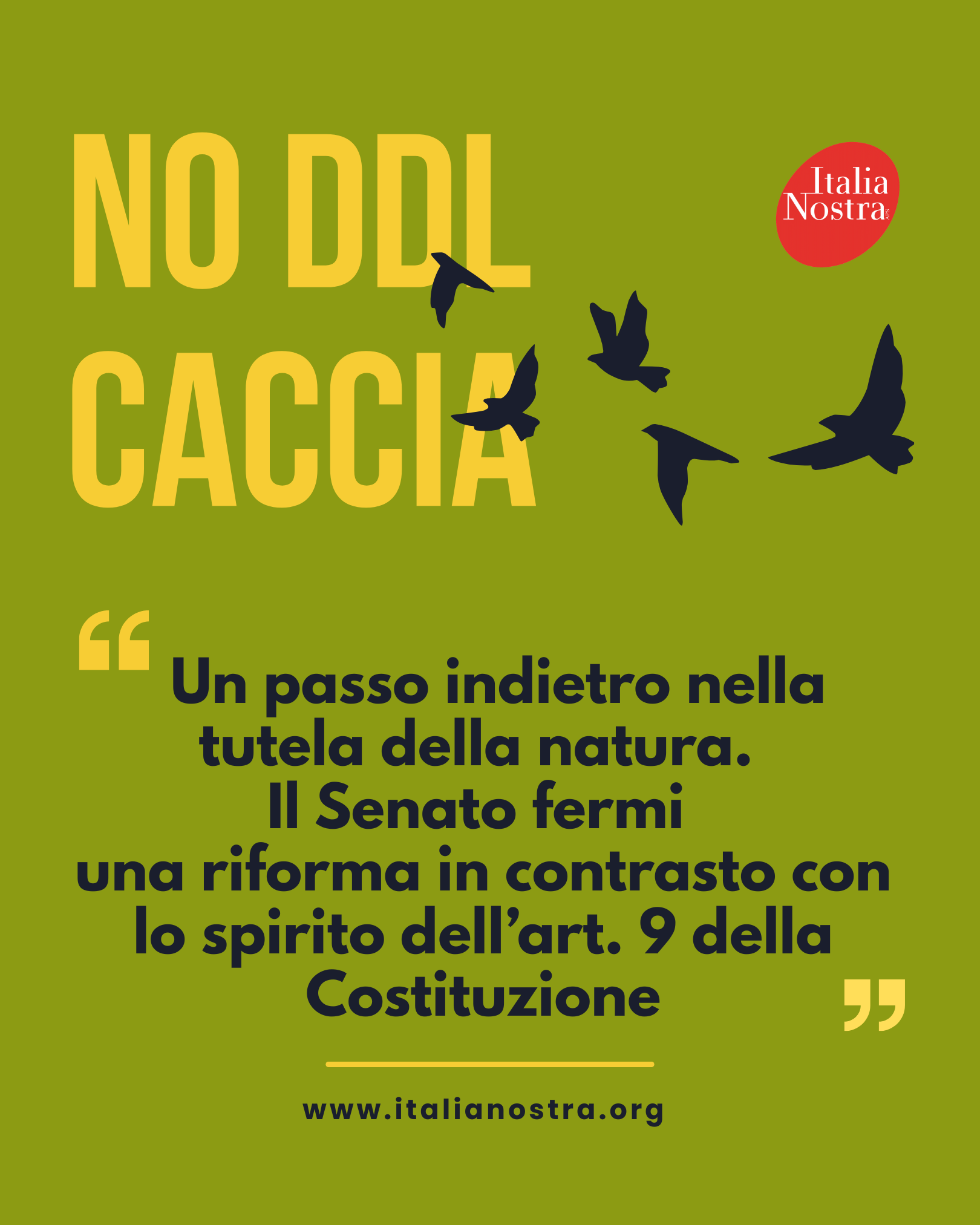 no ddl caccia IG no ddl caccia