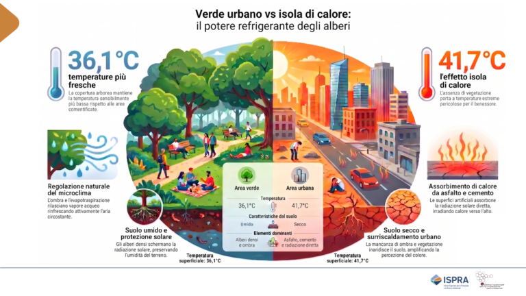 isole di calore e verde