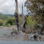 incendi fiume lao