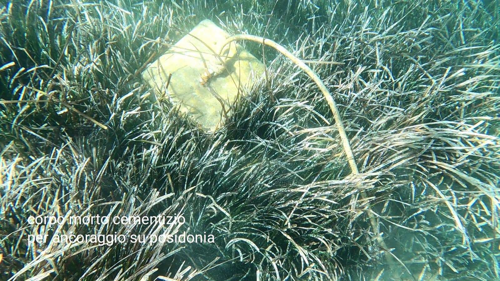 Isola Di Dino: sette anni fa pulimmo 60.000 mq di fondali, oggi torna la discarica sulla posidonia. Serve intervenire