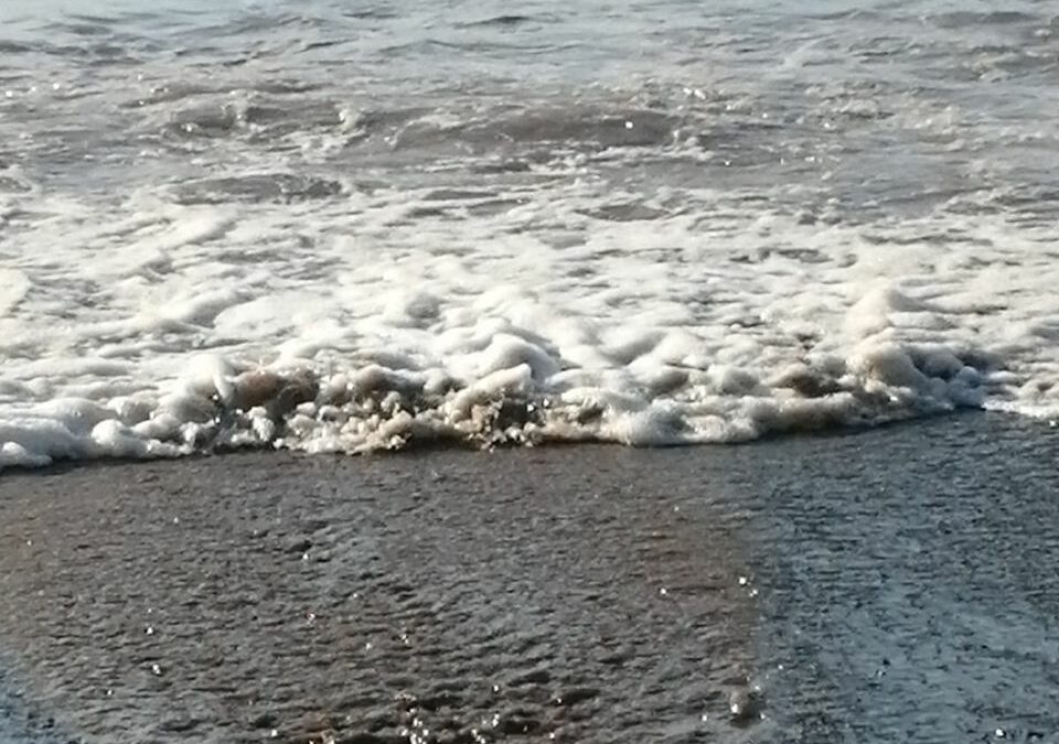 Impianto di depurazione di San Nicola Arcella Spiaggia Marinella: cosa sta finendo in mare?