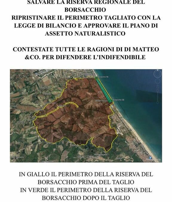 Italia Nostra CSA: salvare la riserva regionale del Borsacchio