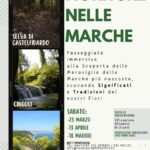 Selva di Castelfidardo: passeggiate immersive