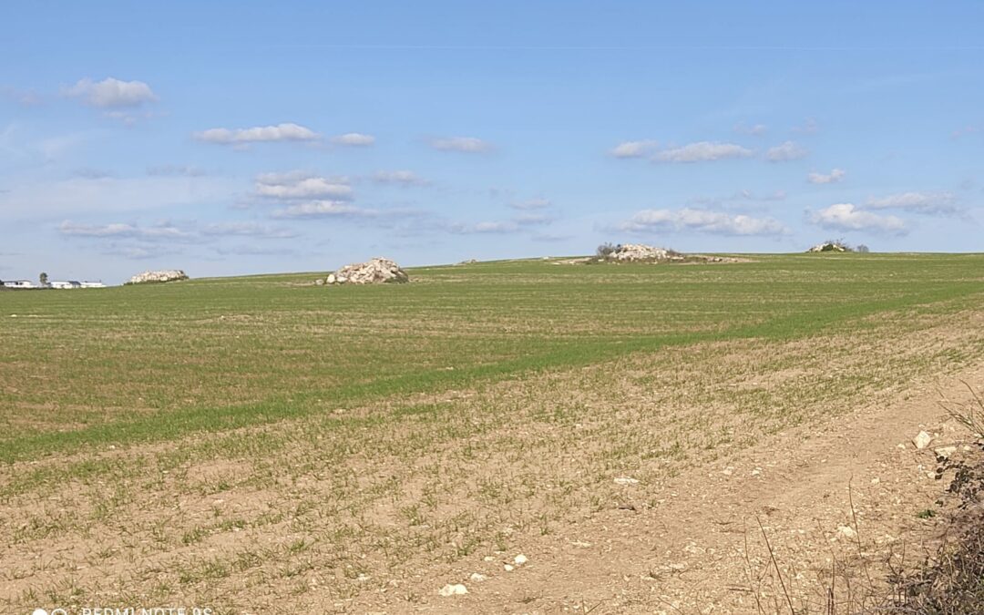 Consumo di suolo in Puglia: l’allarme delle associazioni