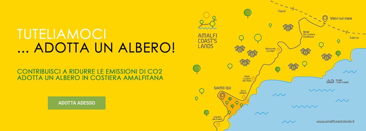 Amalfi Coasts Lands: Italia Nostra partner del progetto sull’adozione degli alberi