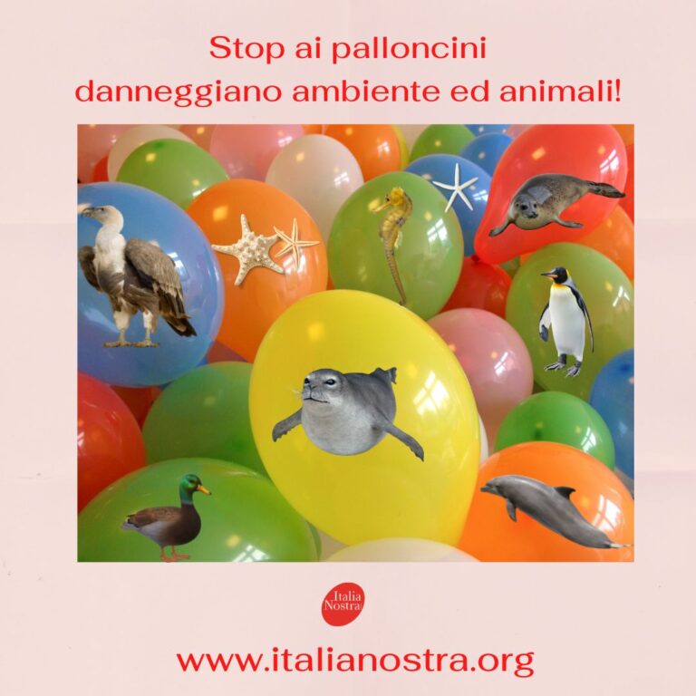 Stop al lancio di palloncini