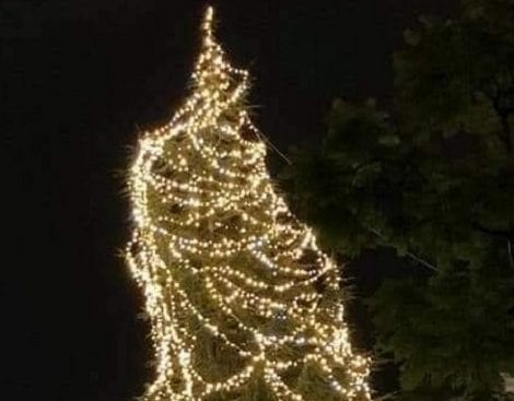 Dopo “tristacchio” e “sbilenco”, a Caltanissetta l’albero di Natale geometrico non espiantato dai boschi