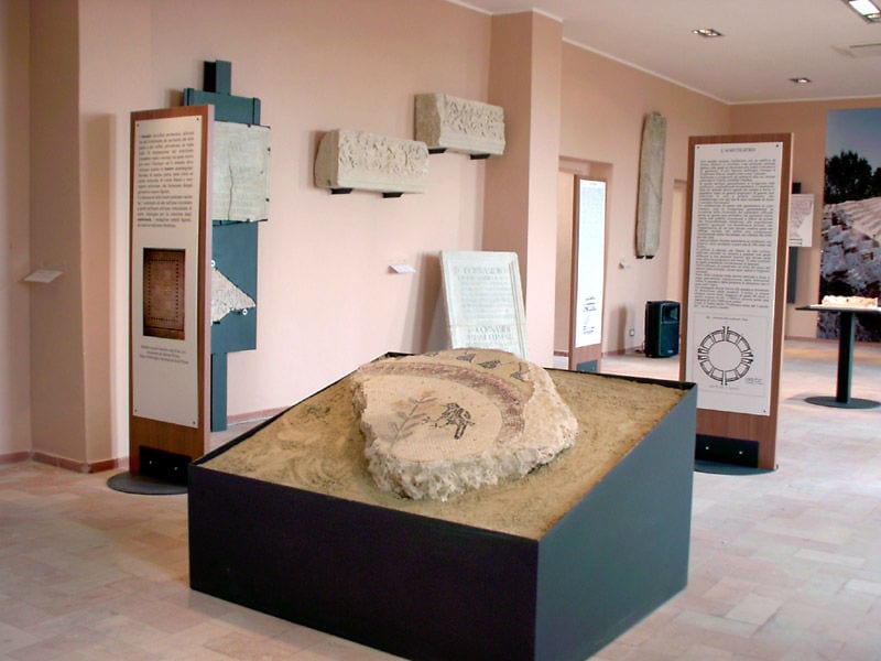 FALERONE_Museo_Archeologico_Pompilio_Bonvicini