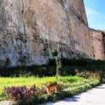 Crotone, Orto Botanico: dopo gli atti vandalici, Italia Nostra chiede la videosorveglianza dell’area