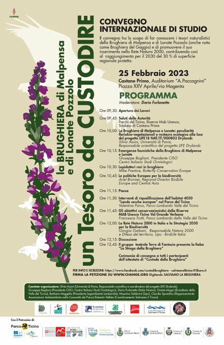 La brughiera di Malpensa e la sua biodiversità: convegno internazionale il 25 febbraio prossimo