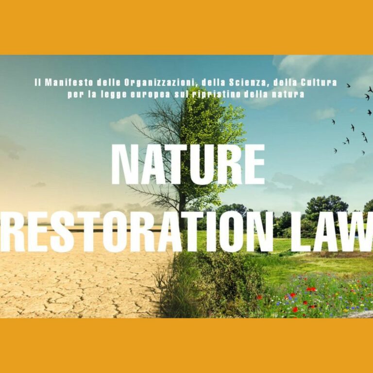 Nature Restoration Law, oltre 150 associazioni italiane agli europarlamentari: approvarla convintamente, per un’Europa della natura e di un nuovo benessere