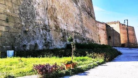 Crotone: vandali in azione all’Orto Botanico