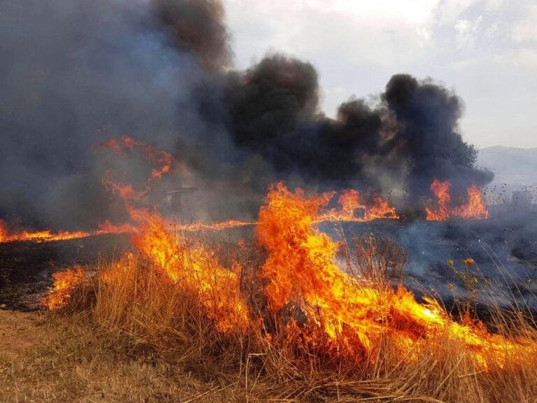 Incendio Riserva Monte Capodarso Imera - 2025