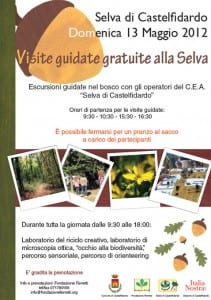 Selva_di_Castelfidardo