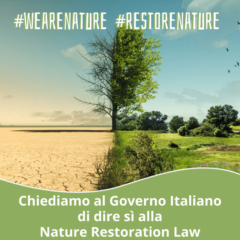 Nature Restoration Law
