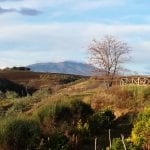 campagna