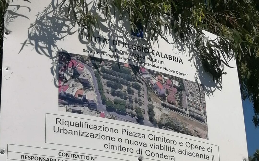 Strage di pini in zona Condera a Reggio Calabria
