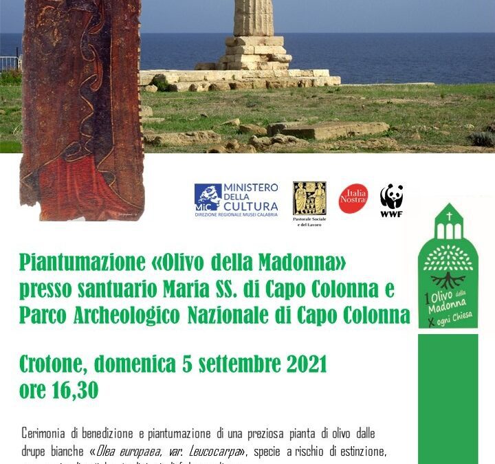Crotone, 5 settembre 2021: cerimonia di benedizione e piantumazione “Olivo della Madonna”