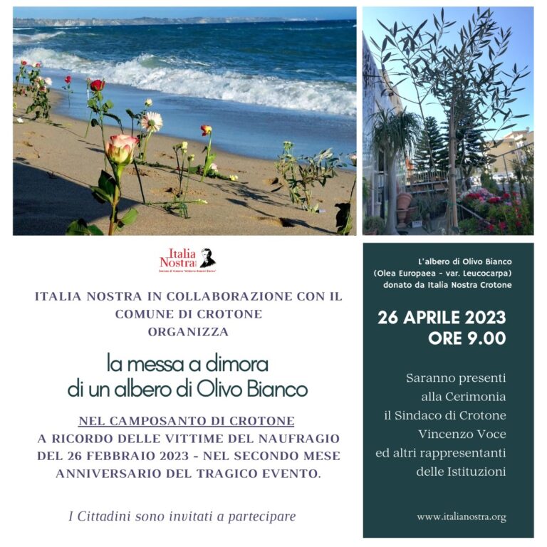 Un Olivo Bianco nel Camposanto di Crotone a ricordo delle vittime del naufragio del 26 Febbraio 2023
