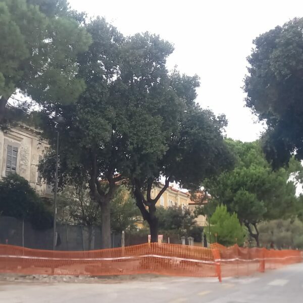Pescara: sugli alberi di via Primo Vere arriva la perizia