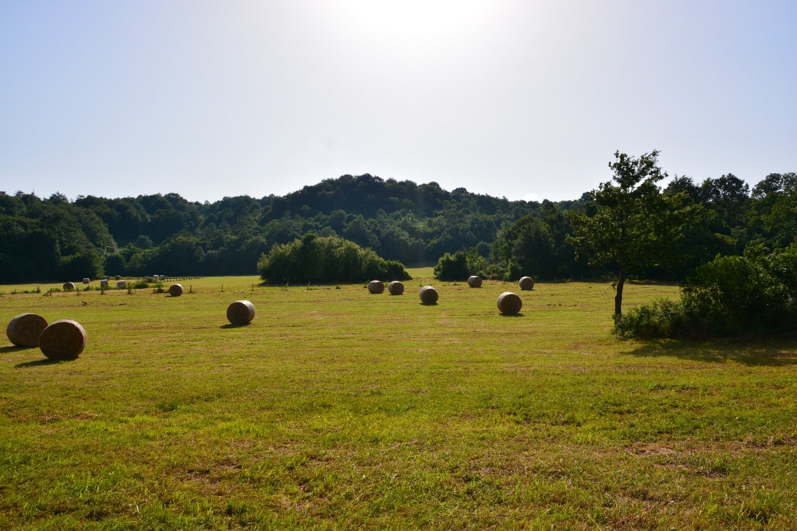 una veduta del Parco del Matese