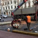 alberi abbattutti viale matteotti firenze