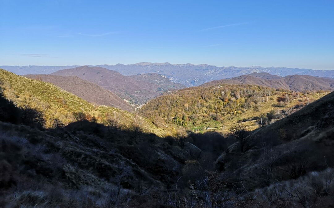 Centrale “le Cascinelle” in Val di Paglia: l’opposizione del Ministro Franceschini