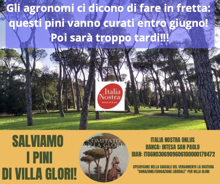 Italia Nostra Roma lancia appello e raccolta fondi per i pini di Villa Glori