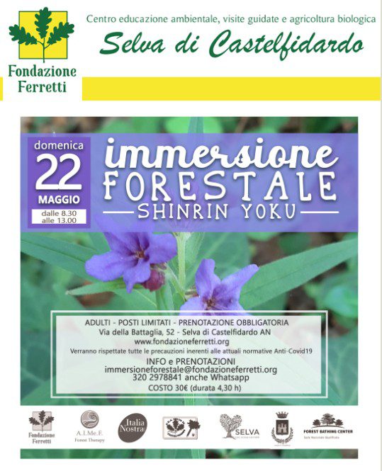 Immersione forestale domenica 22 maggio alla Selva di Castelfidardo – Sconto ai soci di Italia Nostra