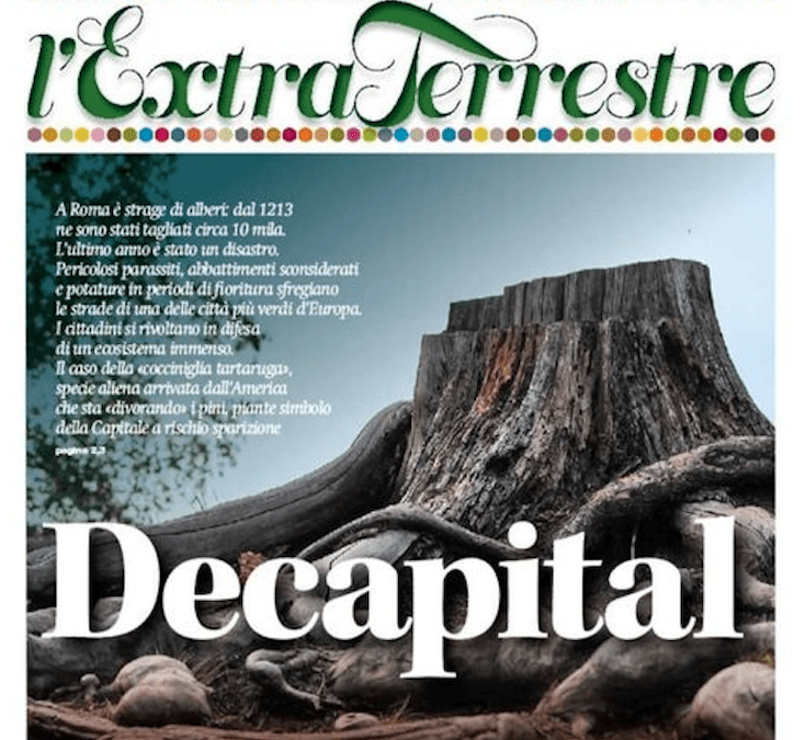 Roma Decapital: un lungo articolo su L’Extraterrestre dedicato agli alberi nella capitale