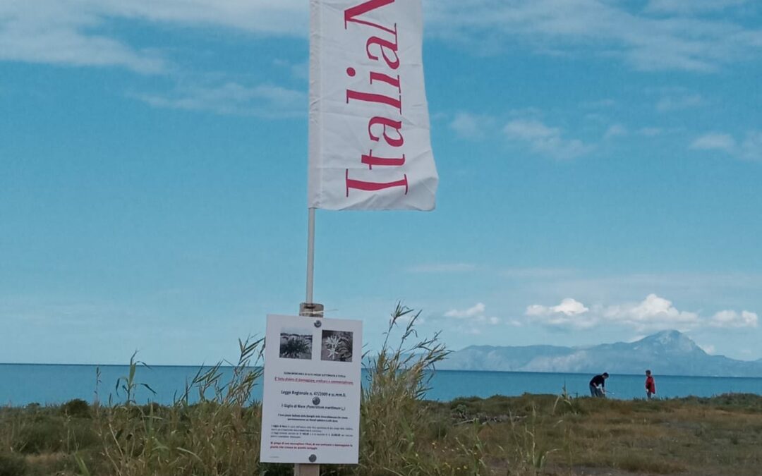 Ancora un atto vandalico a Praia Mare contro l’ambiente e Italia Nostra