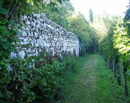 Mariano del Friuli, resti della cinta muraria veneziana: segnalazione per la lista rossa