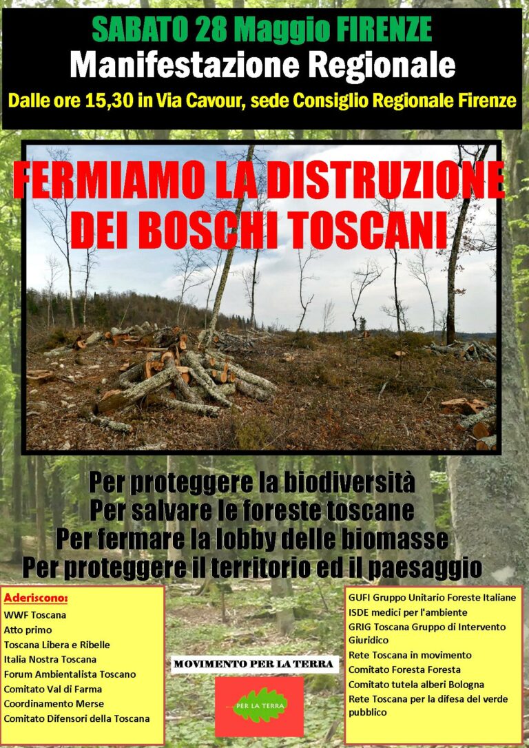 Sabato 29 maggio a Firenze, manifestazione regionale “Fermiamo la distruzione dei boschi toscani”