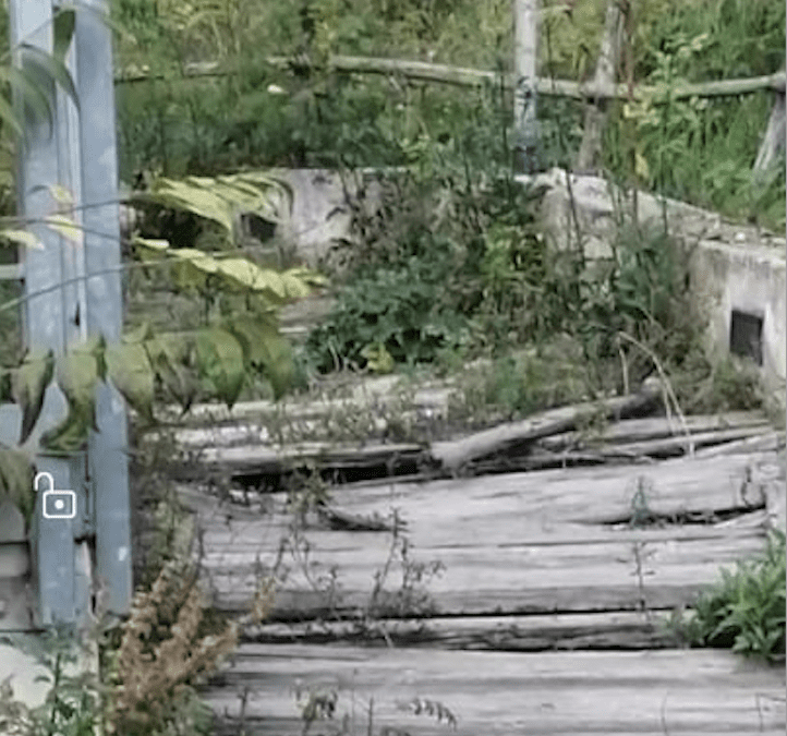 Lamezia Terme: Italia Nostra denuncia lo stato di abbandono in cui versa il mulino dedicato ad Adele Bruno