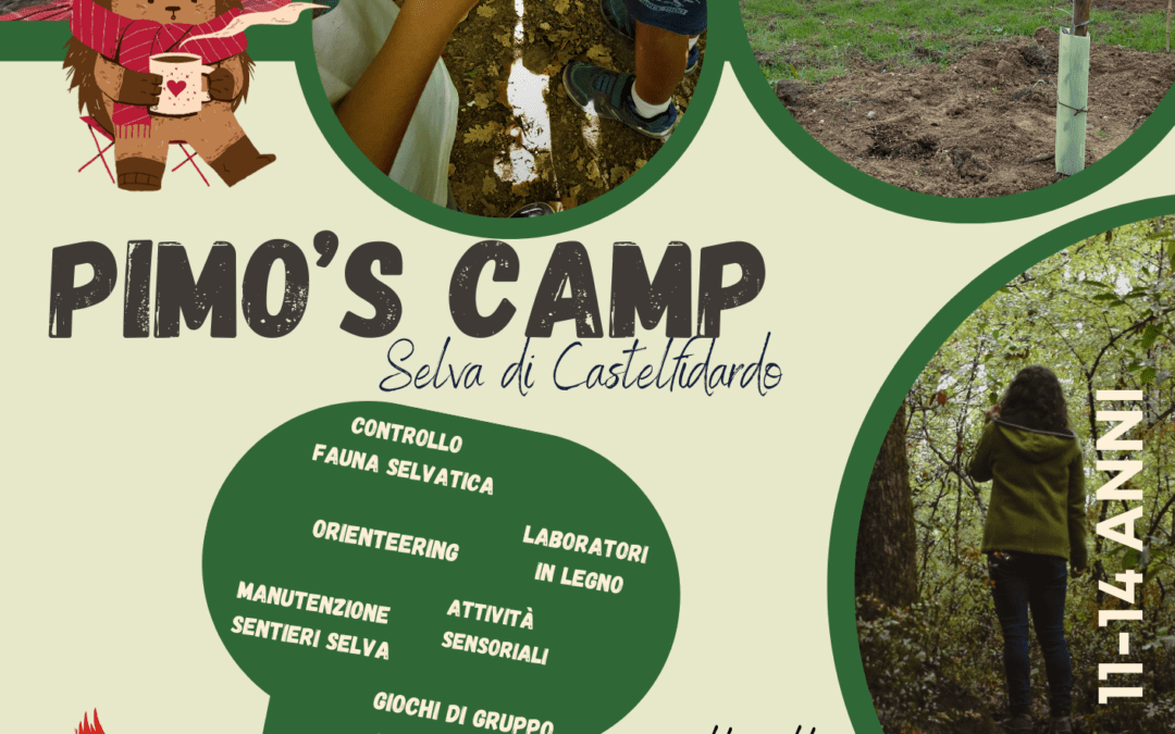 Pimo’s Camp Selva di Castelfidardo