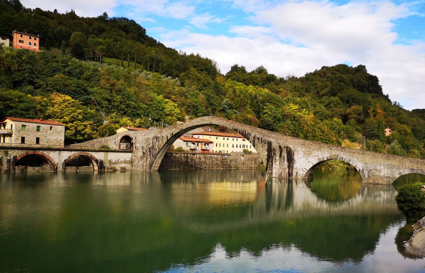 Dona il tuo 5x1000 a Italia Nostra Sostieni Italia Nostra con il tuo 5x1000