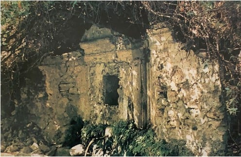 Fonte detta Arethusa o di Cassiodoro: nuova segnalazione per la Lista Rossa