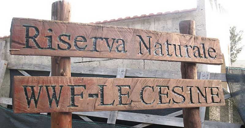 Italia Nostra Lecce porta i cittadini alla scoperta del parco “Le Cesine”
