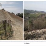 Langhe e Roero: ambienti da tutelare, nonostante i diboscamenti. Il progetto “Salvarocche”